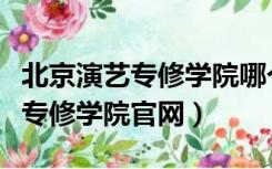 北京演艺专修学院哪个专业强一点（北京演艺专修学院官网）