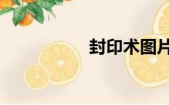 封印术图片（封印术）