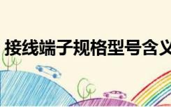 接线端子规格型号含义（接线端子规格型号）