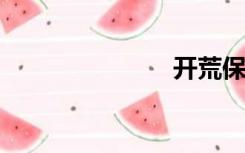 开荒保洁收入