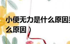 小便无力是什么原因男怎么治（小便无力是什么原因）