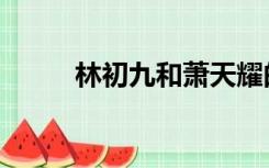 林初九和萧天耀的小说（林初九）