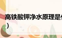 高铁酸钾净水原理是什么（高铁酸钾净水原理）