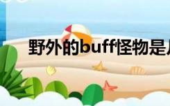野外的buff怪物是几秒钟开始诞生的？