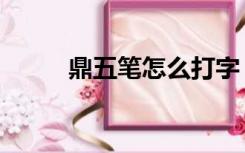 鼎五笔怎么打字（鼎五笔怎么打）