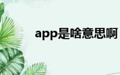 app是啥意思啊（app是啥意思）