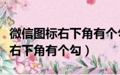 微信图标右下角有个勾是什么意思（微信图标右下角有个勾）