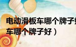 电动滑板车哪个牌子好该如何选择（电动滑板车哪个牌子好）