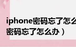 iphone密码忘了怎么办不抹掉数据（iphone密码忘了怎么办）