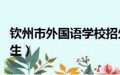 钦州市外国语学校招生（钦州市外国语学校招生）