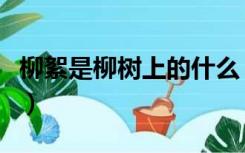 柳絮是柳树上的什么（柳絮其实是柳树的什么）