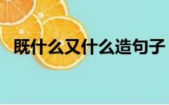 既什么又什么造句子（既什么又什么造句）