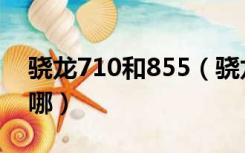 骁龙710和855（骁龙855与骁龙710区别在哪）