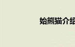 始熊猫介绍（始熊猫）
