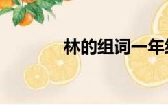 林的组词一年级（林的组词）