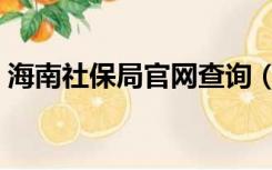 海南社保局官网查询（海南社保局官方网站）
