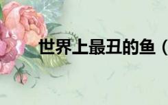 世界上最丑的鱼（世界上最丑的鱼）