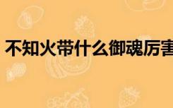 不知火带什么御魂厉害（不知火带什么御魂）