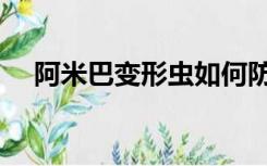 阿米巴变形虫如何防止（阿米巴变形虫）