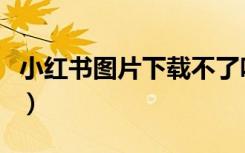 小红书图片下载不了咋回事（小红书图片下载）