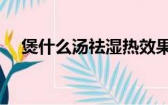 煲什么汤祛湿热效果好（煲什么汤祛湿）