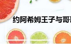 约阿希姆王子与哥哥（约阿希姆王子）