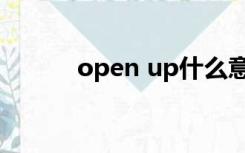 open up什么意思（open up）