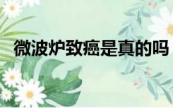 微波炉致癌是真的吗（微波炉致癌是真的）