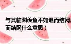 与其临渊羡鱼不如退而结网意思英文（与其临渊羡鱼不如退而结网什么意思）