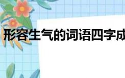 形容生气的词语四字成语（形容生气的词语）