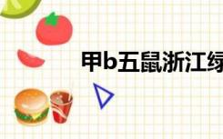 甲b五鼠浙江绿城（甲b五鼠）