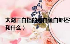 太湖三白指的是白鱼白虾还有谁（太湖三白指的是白鱼白虾和什么）