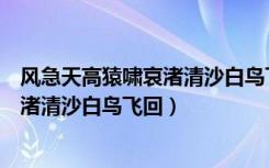 风急天高猿啸哀渚清沙白鸟飞回什么意思（风急天高猿啸哀渚清沙白鸟飞回）