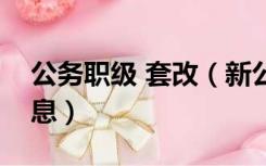 公务职级 套改（新公务员法职级套改最新消息）