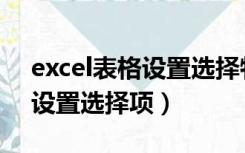 excel表格设置选择特定的内容（excel表格设置选择项）