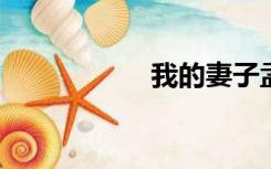 我的妻子孟免费阅读