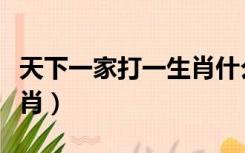 天下一家打一生肖什么意思（天下一家打一生肖）