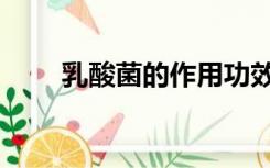 乳酸菌的作用功效（乳酸菌的作用）