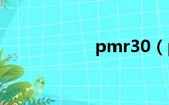 pmr30（pmr硬盘）