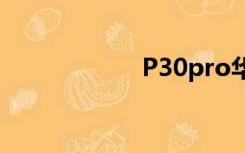P30pro华为耳机孔
