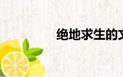 绝地求生的文件验证失败