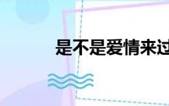 是不是爱情来过（是不是爱情）