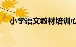 小学语文教材培训心得（小学语文教材）