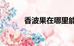香波果在哪里能买到（香波果）