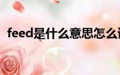 feed是什么意思怎么读（feed是什么意思）