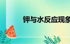 钾与水反应现象（钾与水反应）