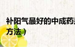补阳气最好的中成药是什么药（补阳气最好的方法）