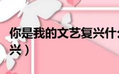 你是我的文艺复兴什么意思（你是我的文艺复兴）