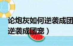 论炮灰如何逆袭成团宠穿书txt（论炮灰如何逆袭成团宠）