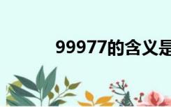 99977的含义是什么（99977）